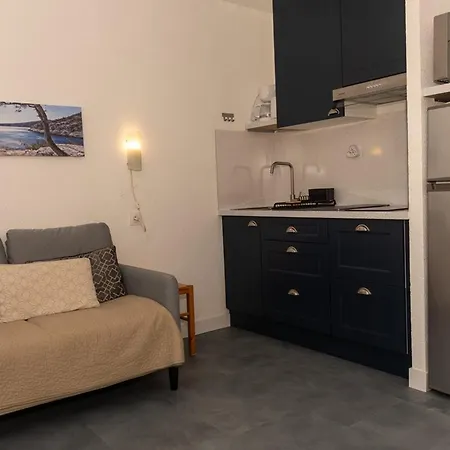 Apartment Avec Parking Au Lavandou, A 10m De La - Fr-1-803-11